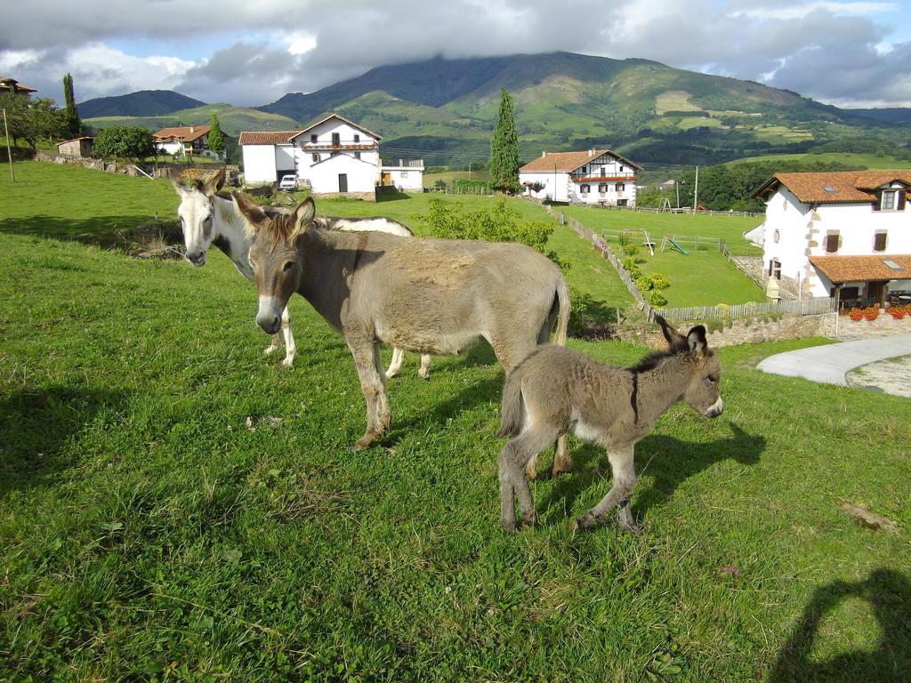 Casa Rural Gananea Zuaztoy de Azpilcueta Quarto foto